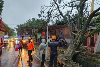 Kantor Koramil dan sejumlah rumah di Jember rusak akibat angin kencang