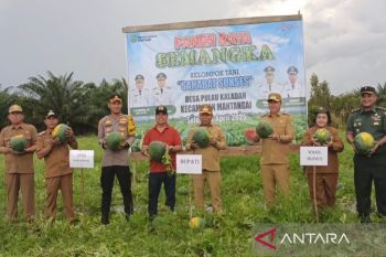 Distan Kapuas diminta perhatikan sentra penghasil semangka