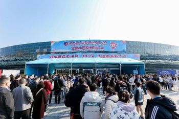 Themes on Upgrading and Renewing