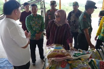 Sidak ke penggilingan padi, Ela dorong peningkatan pembelian gabah petani