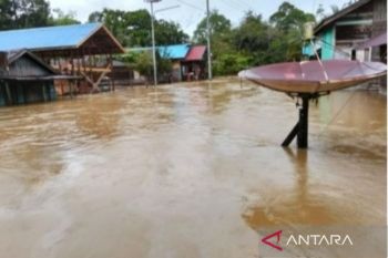BNPB: Banjir masih berpotensi terjadi selama peralihan musim bulan ini