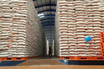 Bulog Lampung tambah kapasitas gudang penyimpanan beras