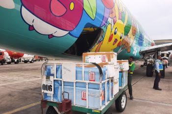 Angkutan kargo di Bandara SIM turun lima persen