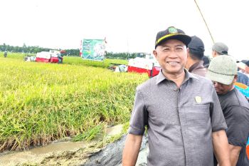 Legislator Kotim dukung kesuksesan program ketahanan pangan