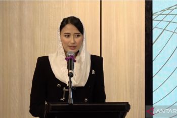 TIFA revitalization can expand Indonesia-US trade: deputy minister