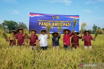 Lapas Lombok Barat gelar panen raya hasil tanam warga binaan