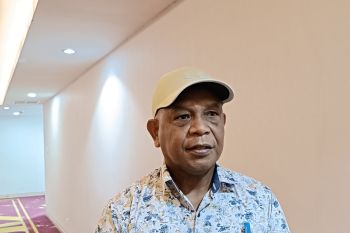 Pemkab Mimika membangun perpustakaan berbasis digital