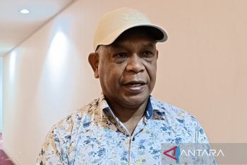 Dinas Perpustakaan fokus pengembangan SDM pustakawan Mimika