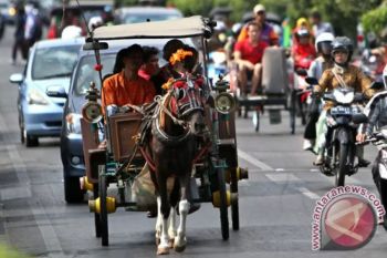 Pemkot Yogyakarta menertibkan parkir andong sebelum kaji pampers kuda