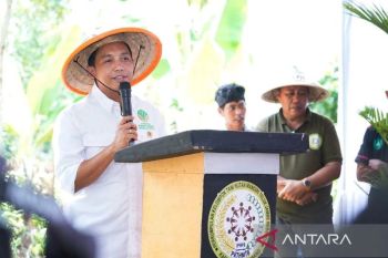 Govt seeks to expand potential of forests with sustainable use