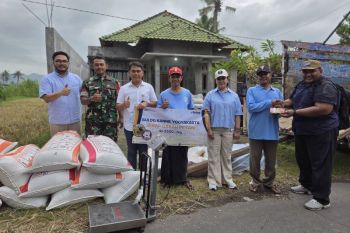 Rabu Biru Indonesia gandeng Bulog DIY serap gabah petani di Sleman