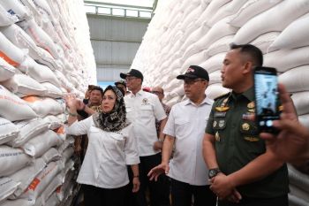 Titiek Soeharto tekankan penyerapan gabah petani dilakukan secara maksimal