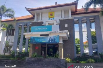 PLN minta masyarakat perhatikan jaringan listrik saat pasang penjor