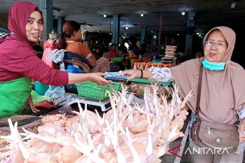 Harga daging ayam di Sampit turun menjadi Rp26 ribu per kilogram