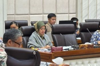 Komisi VII harap relaksasi kebijakan ekonomi dapat gunakan prinsip hati-hati