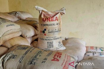 Pemprov Kepri beri bantuan pupuk bersubsidi kepada petani di Natuna