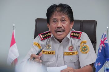 Indonesia, New Zealand agree on higher safety in onion trading