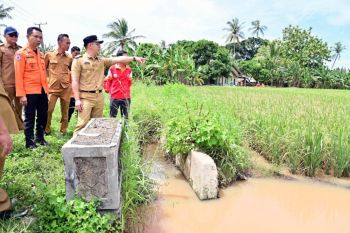 Bupati Lampung Selatan serahkan bantuan ke warga terdampak banjir di Desa Merak Belantung