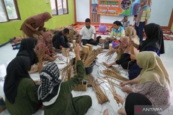 Masyarakat Gulinggang ikuti pelatihan kerajinan dari Purun dan Eceng Gondok
