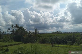 Mayoritas wilayah berawan-hujan ringan