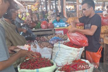 Harga cabai merah di Aceh Besar capai Rp60 ribu/Kg