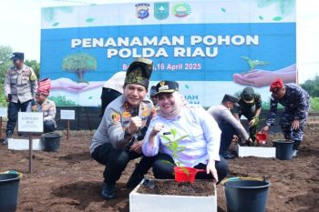 Atasi karhutla, Bupati Bengkalis dan Kapolda tanam pohon di Kampung Tangguh