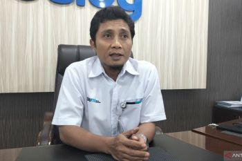 Bulog Sumbar buka peluang serap jagung petani Sumbar dukung ketahanan pangan