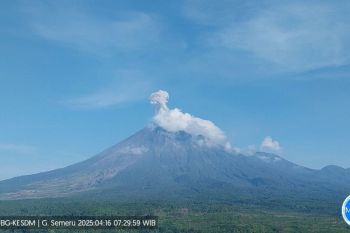 Gunung Semeru alami erupsi disertai letusan setinggi 1.000 meter
