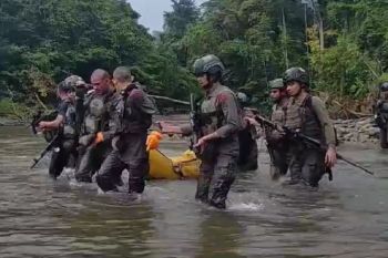 KKB Ternus Enumbi tembak dua anggota Brimob di Puncak Jaya
