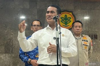 Mentan: petani bahagia saat harga kelapa naik