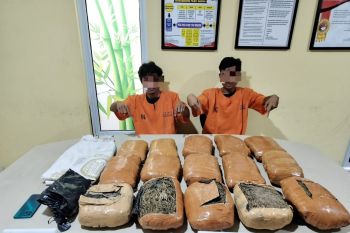 Polres Kampar bongkar jaringan narkoba antar provinsi