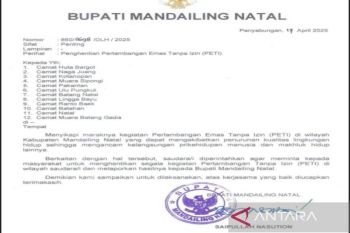 Bupati Madina minta tambang emas ilegal di 12 kecamatan dihentikan