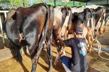 Indonesia's free meals program can boost circular economy: official