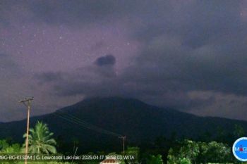 Gunung Lewotobi Laki-laki erupsi satu kali pada Kamis malam