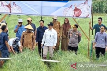 BI tingkatkan produktivitas pertanian di Kotamobagu