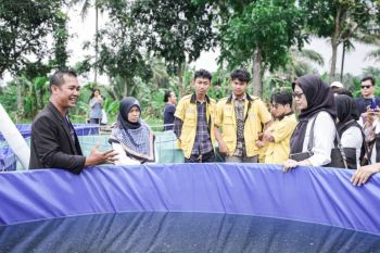 GoTo Impact Foundation tingkatkan kesejahteraan petani melalui Magelang Setories
