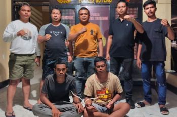 Polisi tangkap komplotan pencuri sapi di Buteng