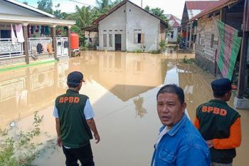 BPBD catat 50 KK terdampak banjir luapan Kali Wanggu Kendari