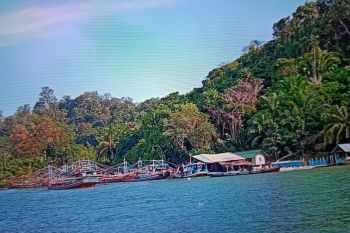 Pemkab: Cuaca ekstrem di Pasaman Barat nelayan harus waspada melaut