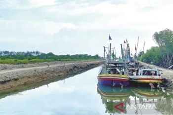 Polres Pamekasan usut kasus perusakan hutan mangrove milik Perhutani di Tanjung