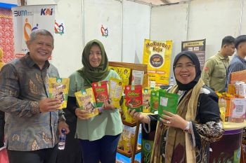 Anggota Komisi VII DPR RI sebut UMKM solusi jitu hadapi ancaman resesi global