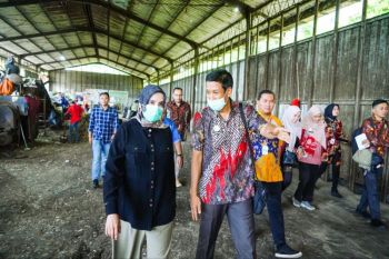Pekalongan  terapkan pengelolaan sampah terintegrasi hulu ke hilir