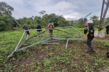 PLN kebut pembangunan SUTT Tanjung Redeb-Talisayan