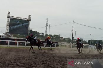 163 racehorses take part in national championship in Yogyakarta