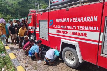 Pelindo Lembar perkuat koordinasi pengangkutan sapi dari NTB ke Jawa