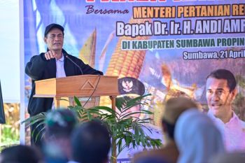 Menteri Pertanian ingin Sumbawa jadi sentra industri hilir jagung dan sapi