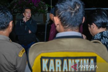 Gubernur NTB Iqbal sidak Balai Karantina Hewan imbas antrean sapi