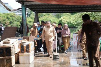 Revitalisasi Pasar Ikan Rajawali di Makassar perlu dilakukan