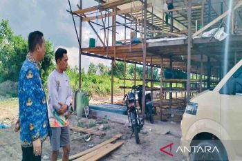 Pengusaha ternak ayam di Sukamara diminta lengkapi izin sebelum membuat kandang