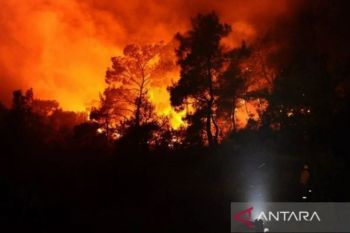 Kebakaran hutan di Spanyol meluas